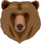 Architetto orso 16 Grizzly Bear